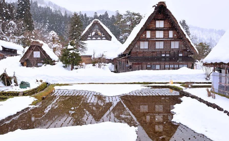 英語使う機会多め🔥寮にこだわりたい方必見！スタッフ同士も仲良くてストレスフリー😊寮費無料です