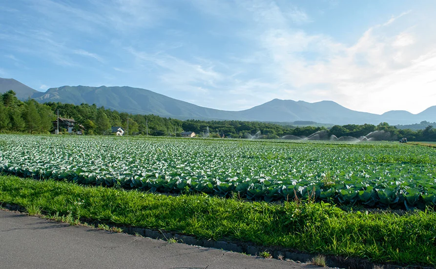 ＼未経験者歓迎の洗い場🙌／新緑輝くシーズン北軽井沢でリゾートバイトしませんか？😊館内寮✨通勤らくらく♪