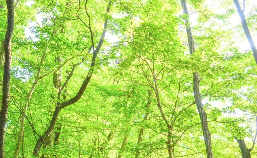 求人メイン