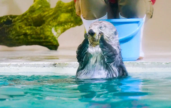 HP用スライダー画像1(左半分)