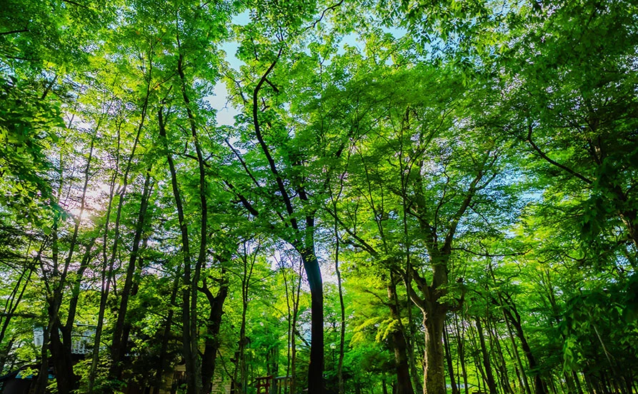 量環境画像（右下の画像）