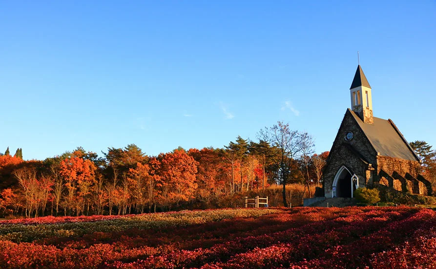 HP用スライダー画像2（右上）