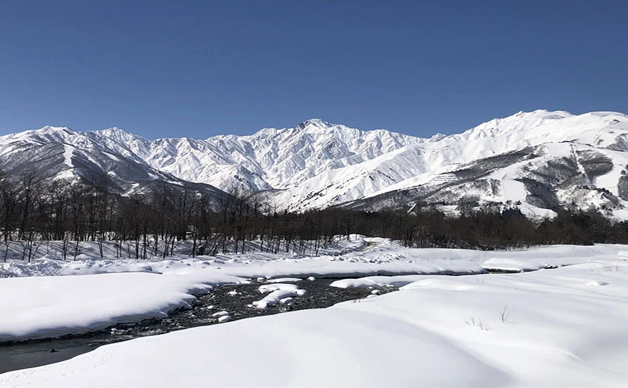 求人メイン
