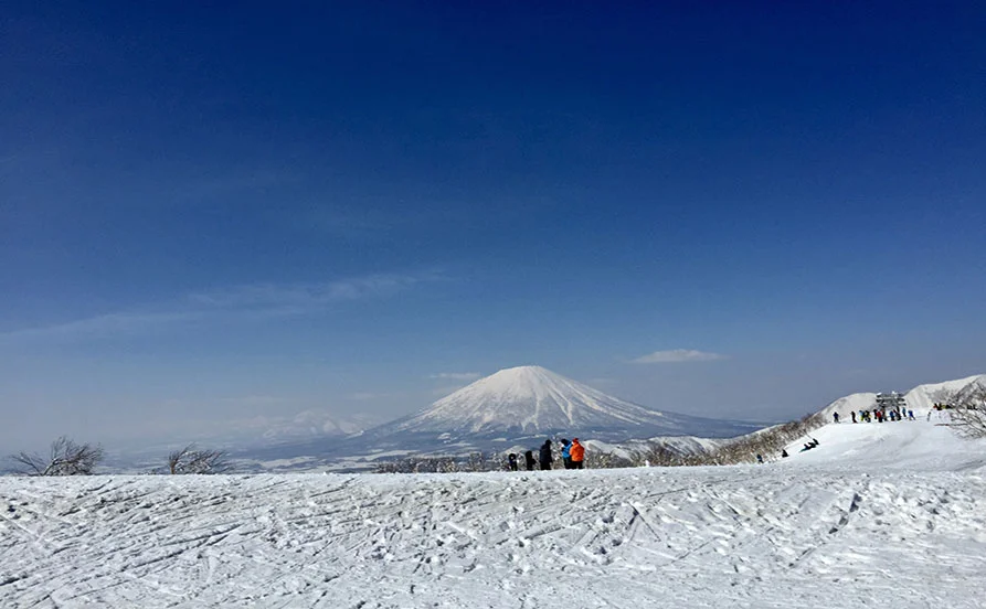 求人メイン