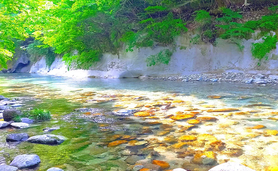 求人メイン