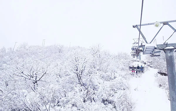 【毎日3食提供あり】新潟と長野の観光に便利な立地でリゾートバイト☆未経験の方も大歓迎です！【妙高高原】