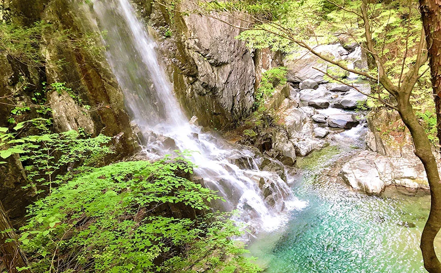 紅葉彩る温泉街🍁＼神奈川県 湯河原／仲居さんで働いてみたい方募集中💁‍♂️年齢幅広く募集中♪【未経験者歓迎】
