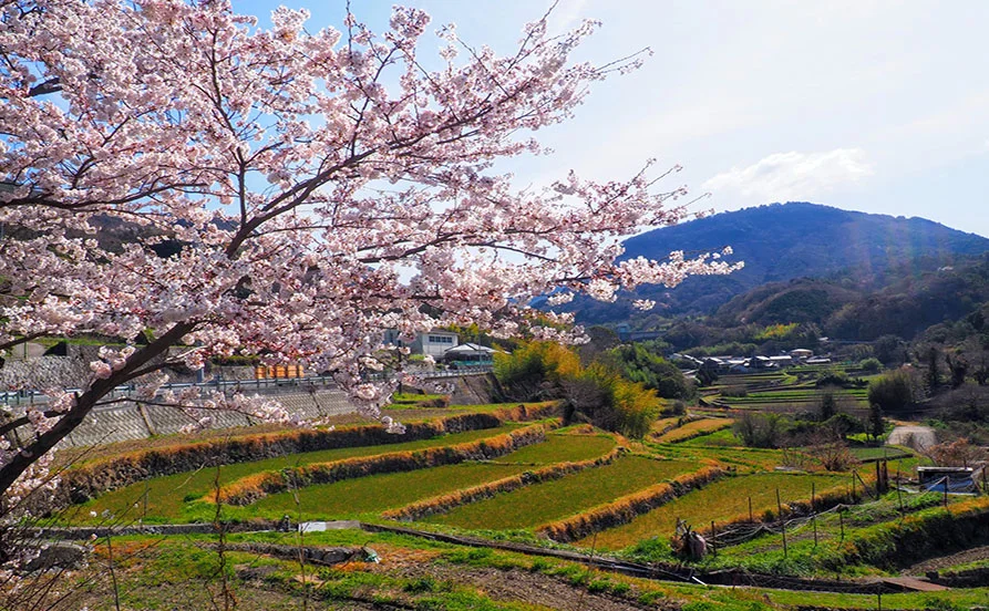 〈レア職種〉寮は個室なので、プライベート時間を大切されたい方にオススメ✨食費無料で毎日3食(朝・昼・晩)支給！