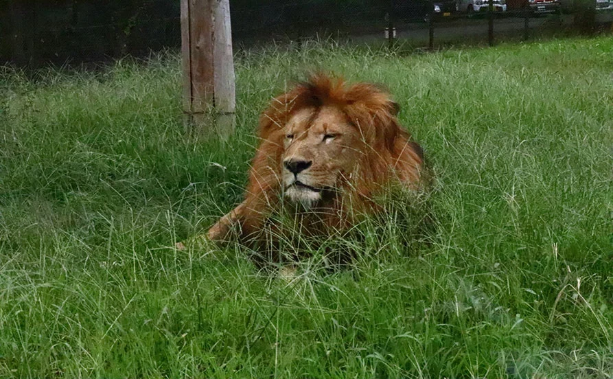 HP用スライダー画像2（右上）