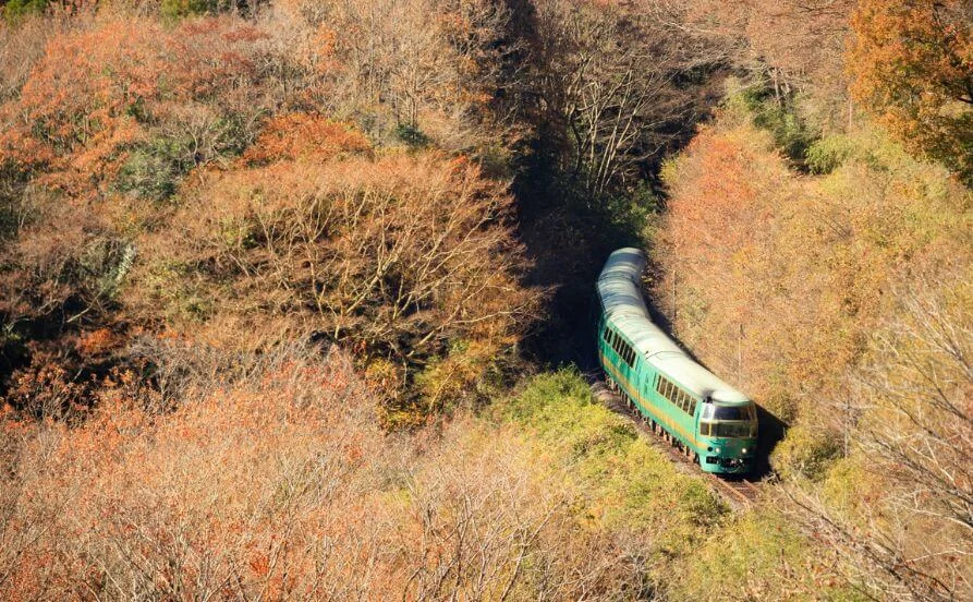 量環境画像（右下の画像）