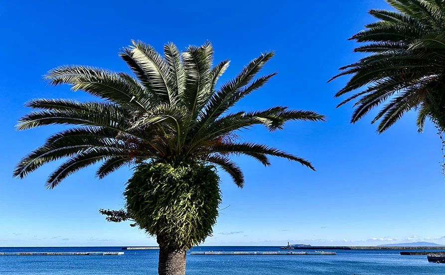 HP用スライダー画像2（右上）