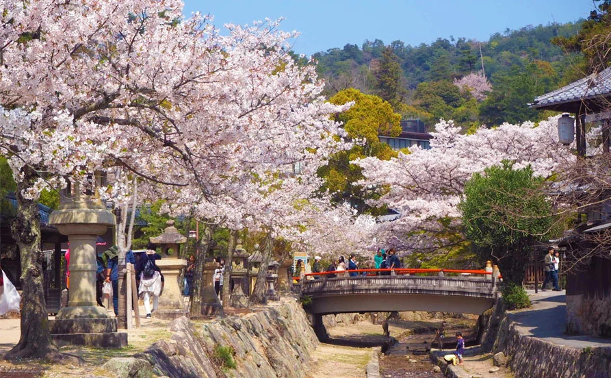 ＜通し勤務×英語活かせる！＞4月から宮島でリゾートバイトをスタート🌸老舗旅館🦌個室寮でコンビニまで徒歩圏内♪