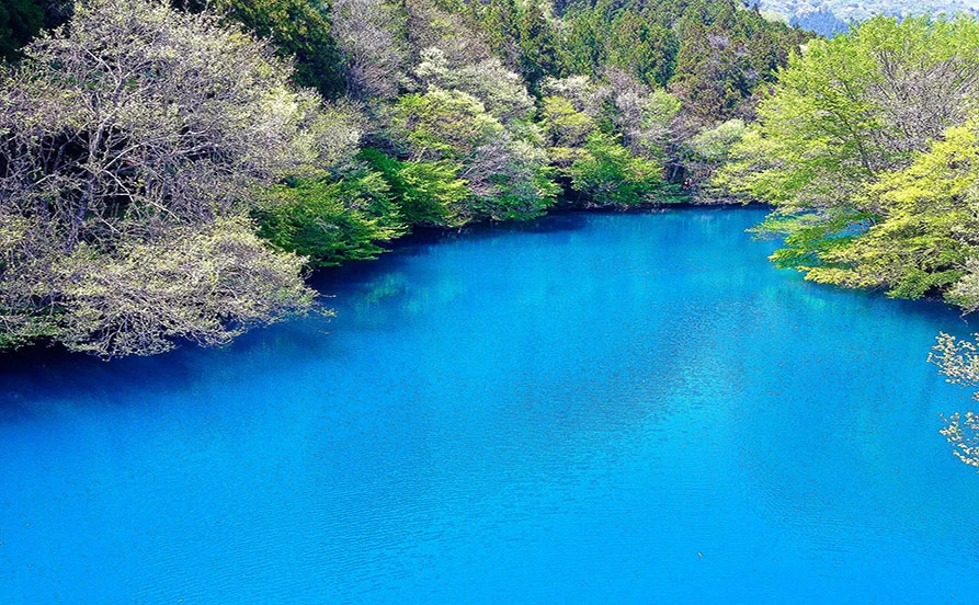 群馬県四万エリアの大型ホテル【毎日温泉に入れるリゾートバイト♨】嬉しい特典☆お買い物には送迎サービス有り！