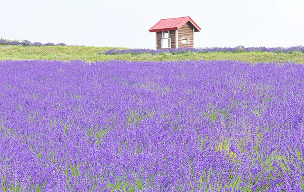 HP用スライダー画像2（右上）