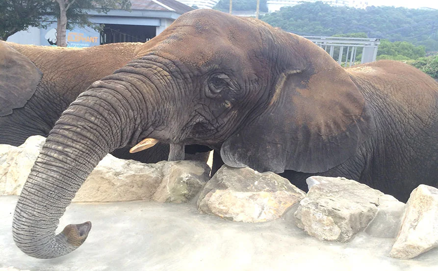 HP用スライダー画像2（右上）